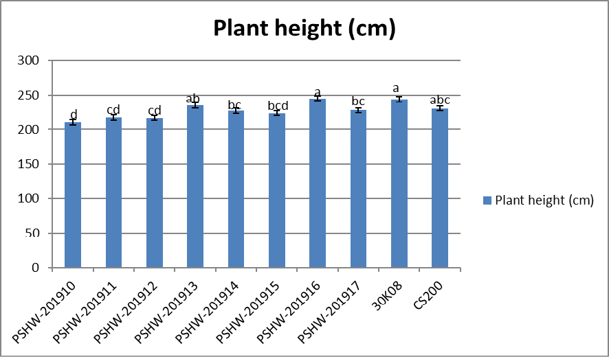 Figure 3: