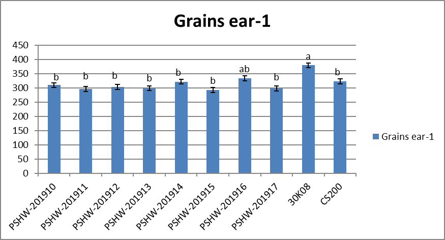 Figure 6: