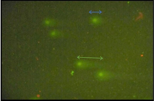 Figure 2: