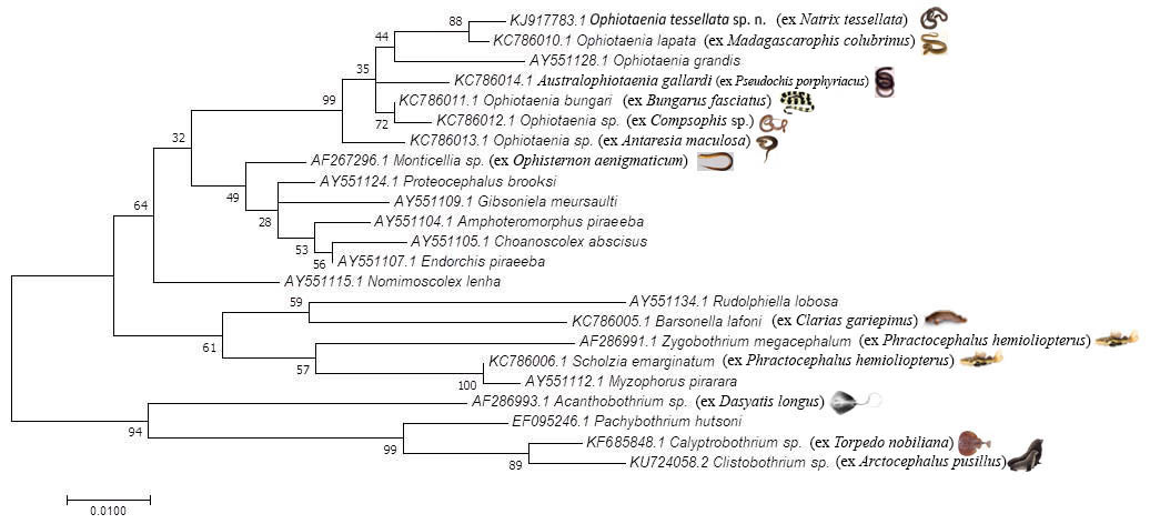 Fig. 4.