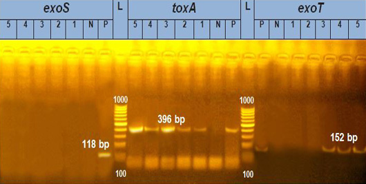 Figure 3: