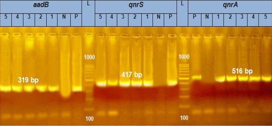 Figure 5: