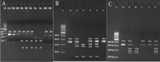 Figure 2: