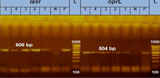Figure 4: