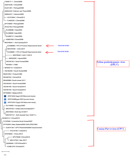 Figure 3: