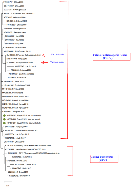 Figure 4: