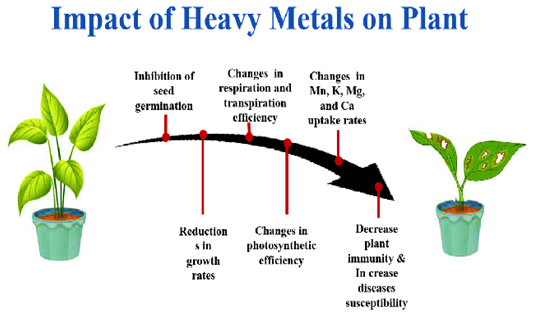 Figure 7: