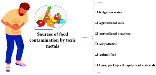 Figure 4: