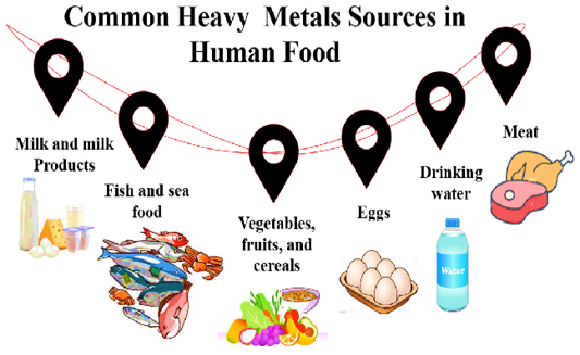 Figure 5: