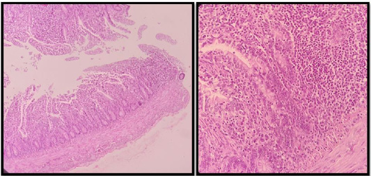Figure 6: