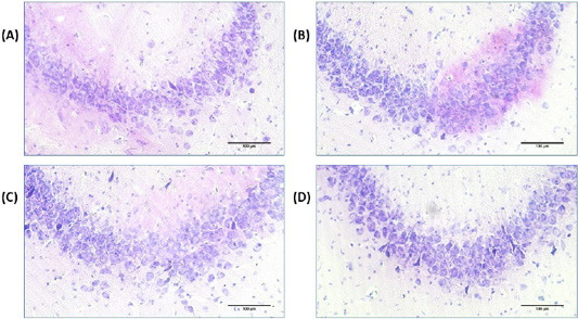 Figure 6: