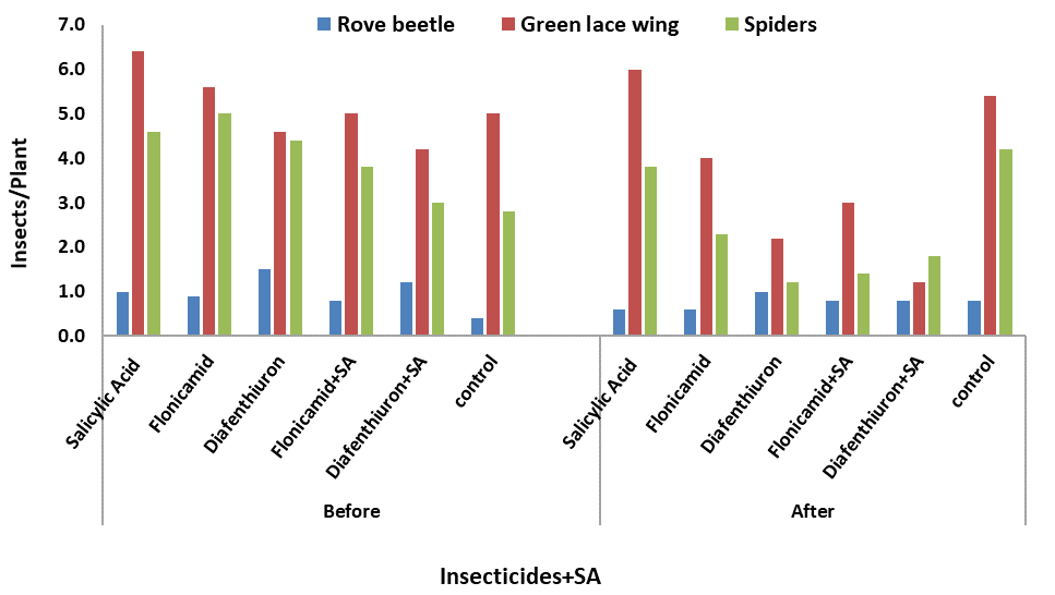 Figure 3:
