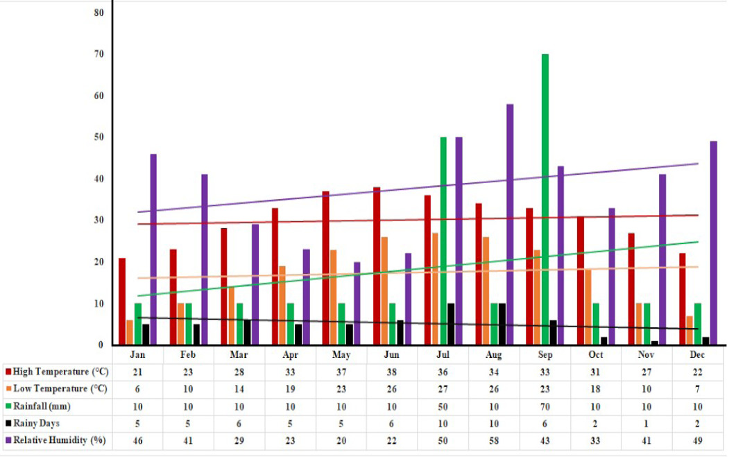Figure 2: