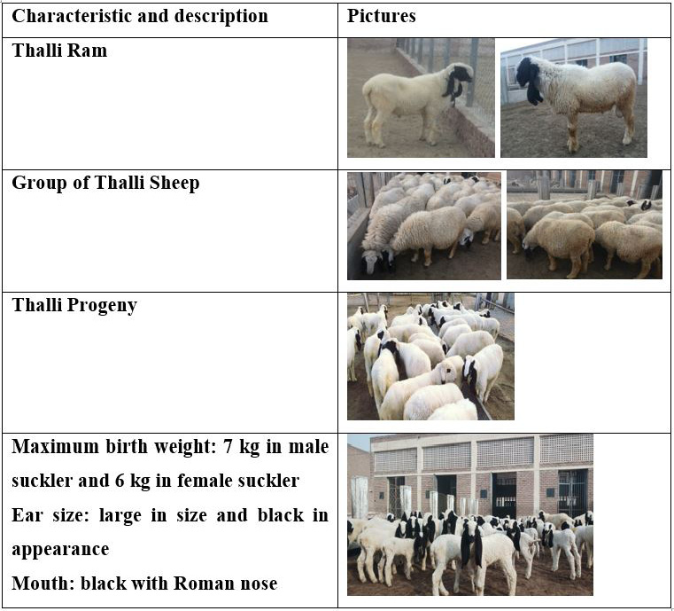 Figure 1a: