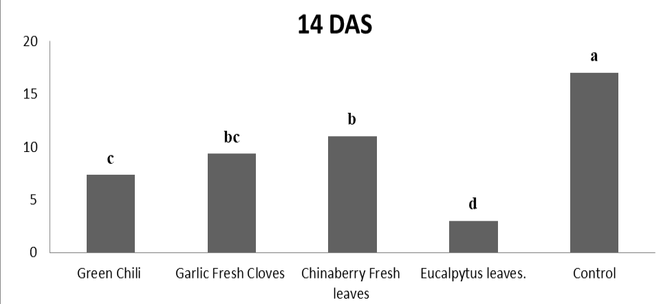 Figure 4: