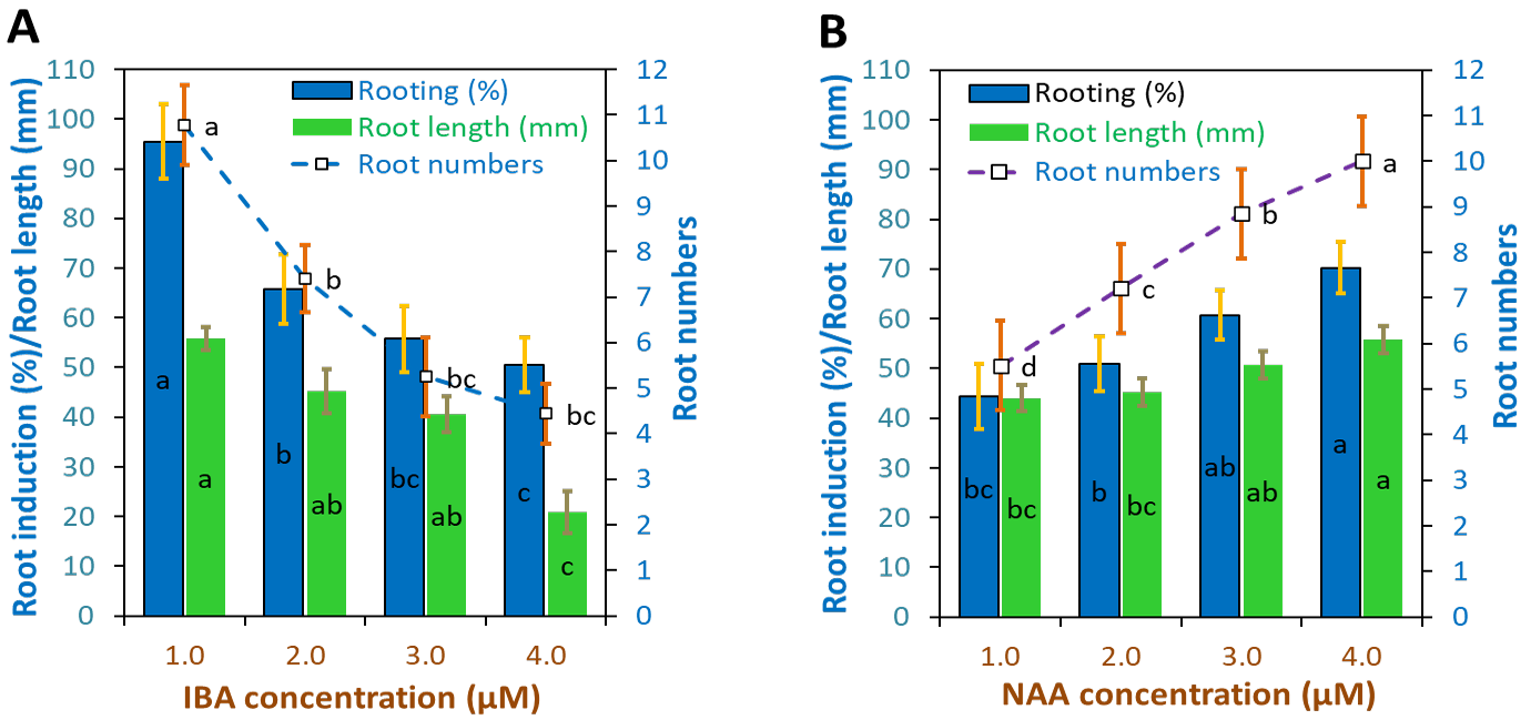Figure 4: