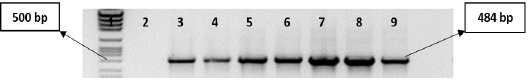 Figure 5: