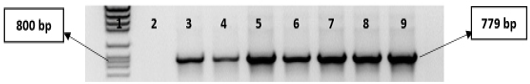 Figure 6: