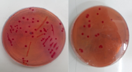 Figure 2: