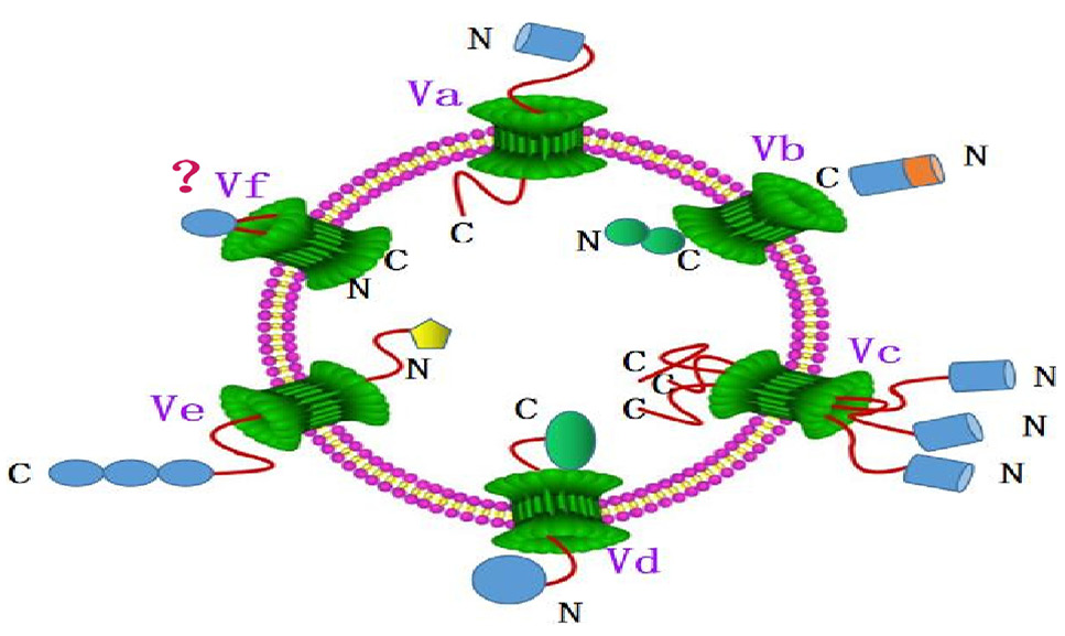 Fig. 2.