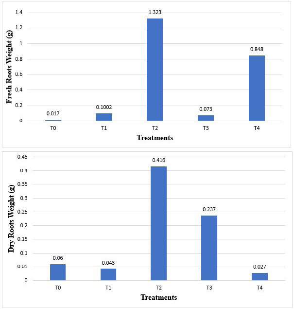 Figure 4:
