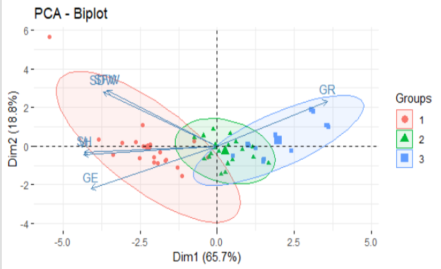 Figure 10: