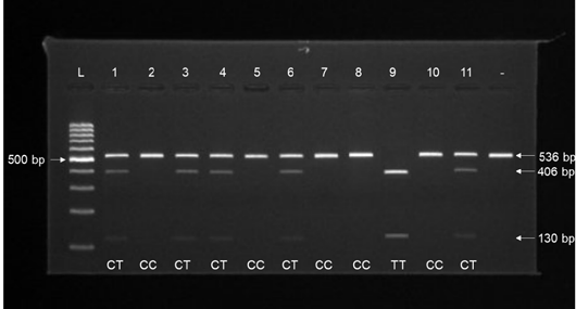 Figure 3: