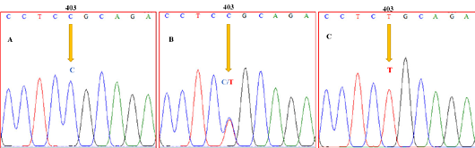 Figure 4: