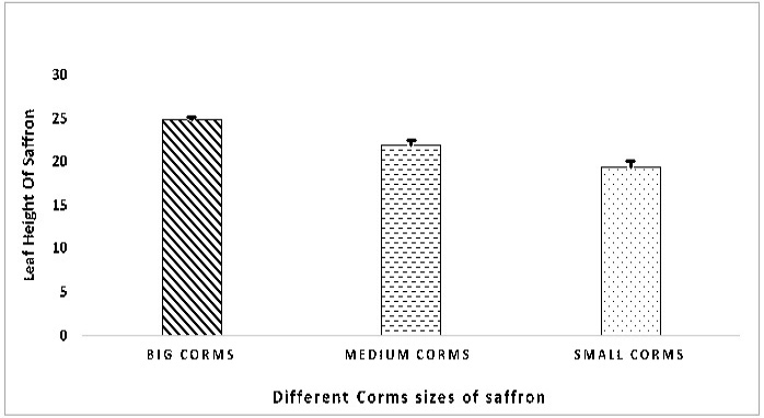 Figure 3: