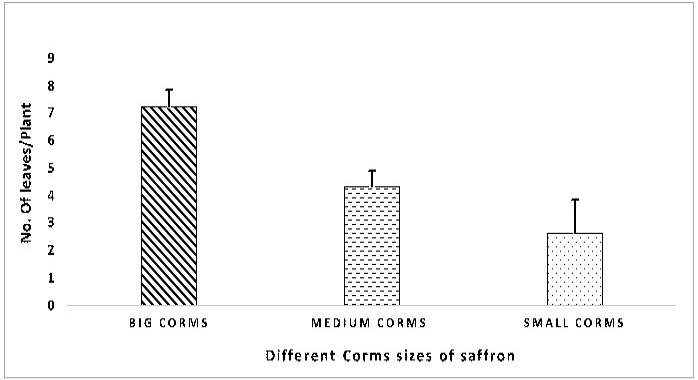 Figure 4: