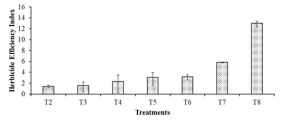 Figure 4: