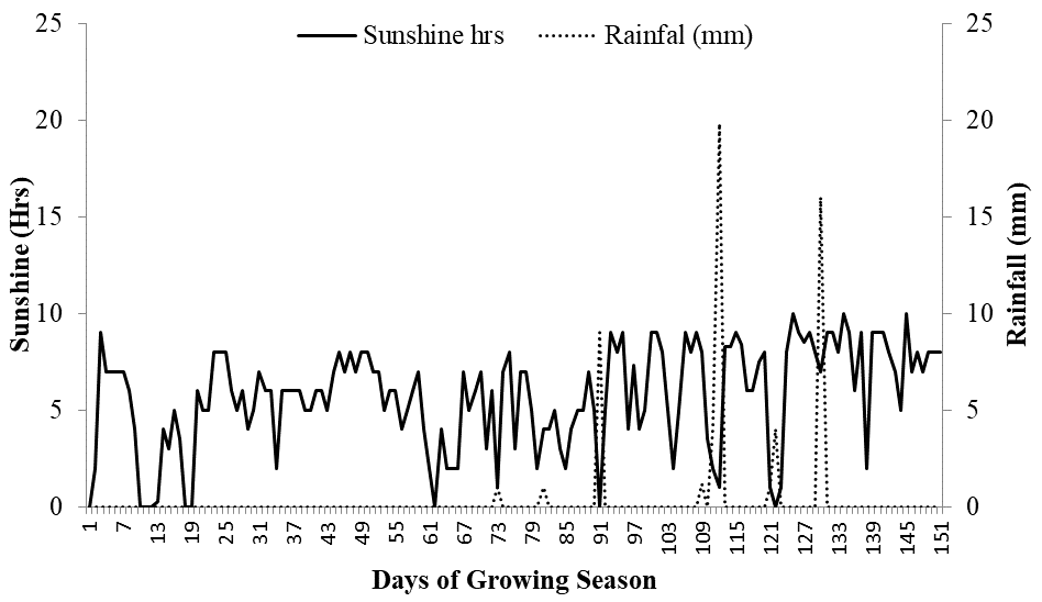 Figure 2: