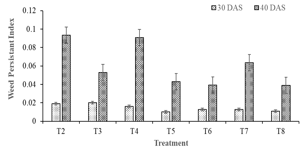 Figure 5: