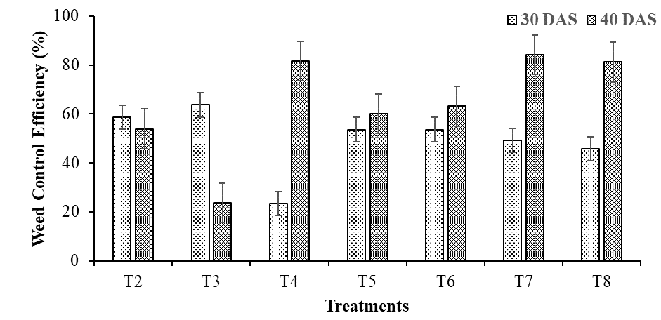 Figure 13: