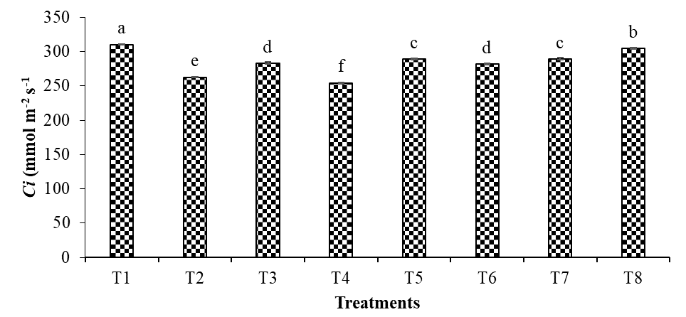 Figure 6:
