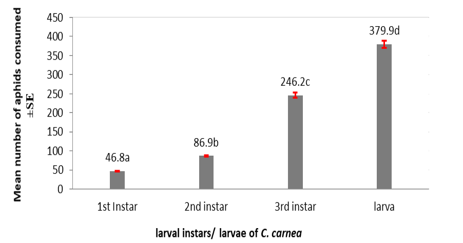 Figure 4: