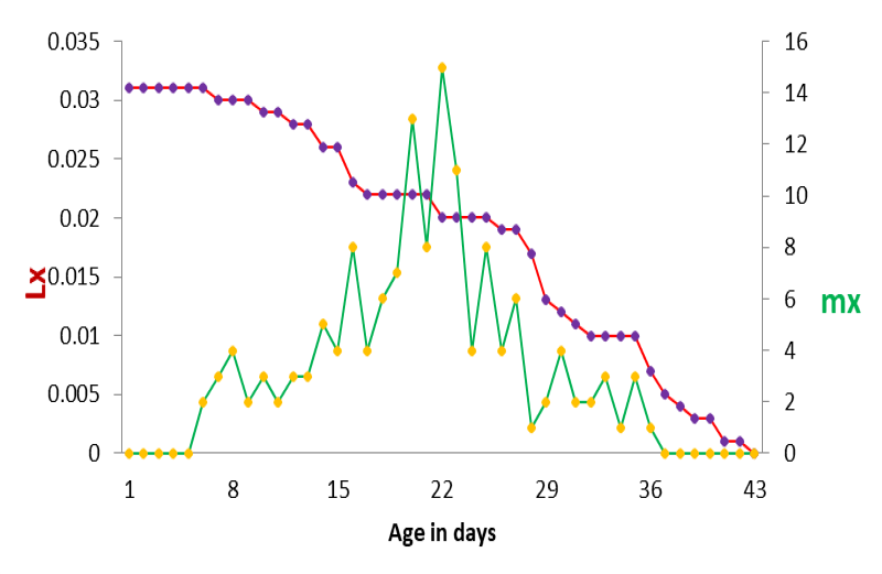 Figure 3: