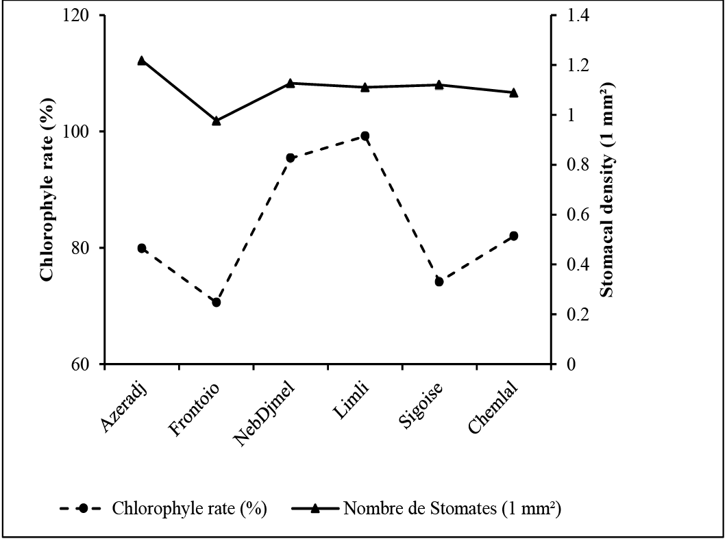Figure 3: