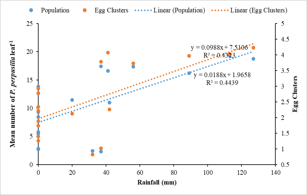 Figure 7: