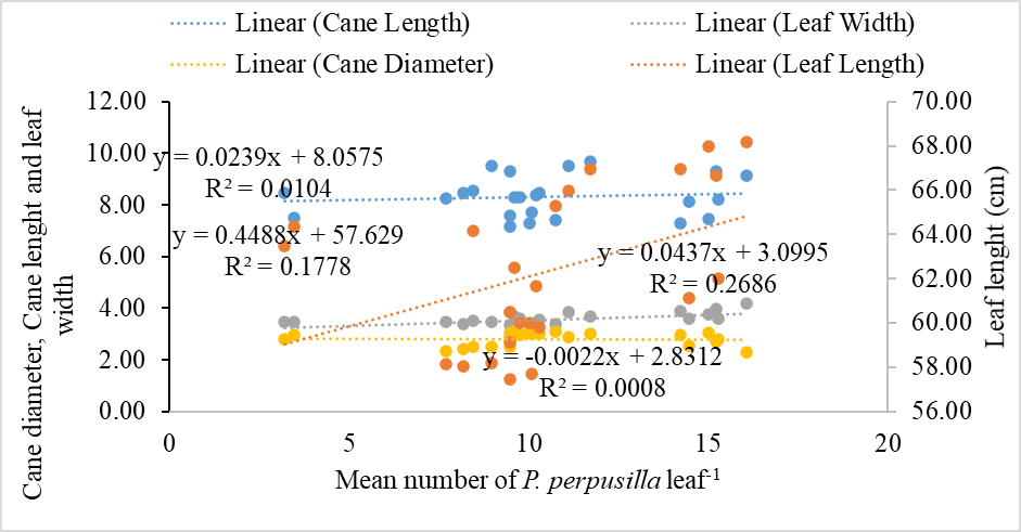 Figure 12: