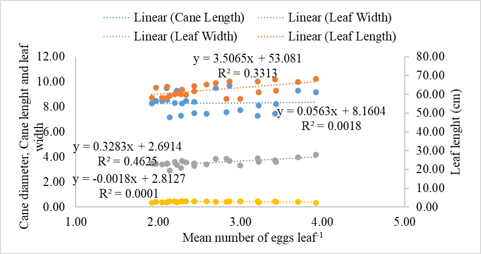 Figure 13: