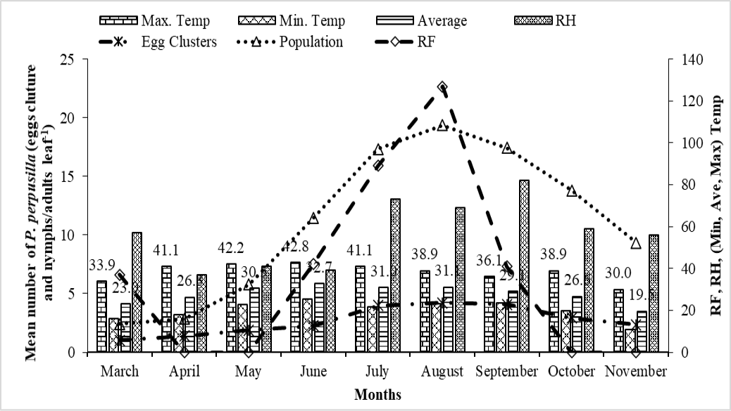 Figure 4: