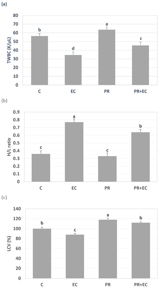 Figure 3: