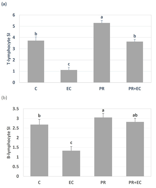 Figure 4: