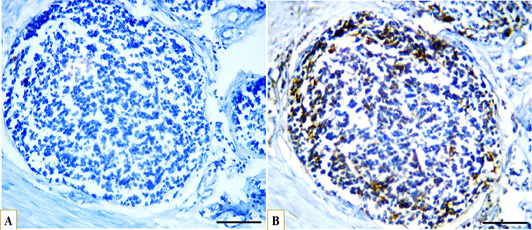 Figure 10:
