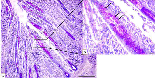 Figure 7: