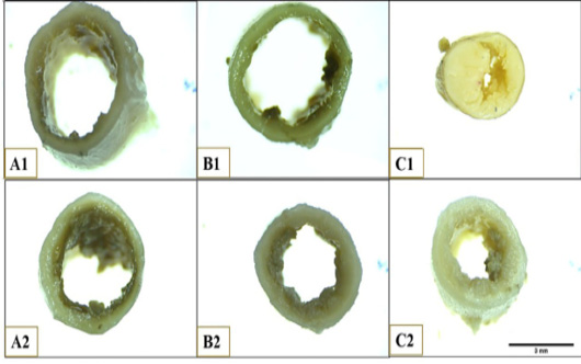 Figure 2: