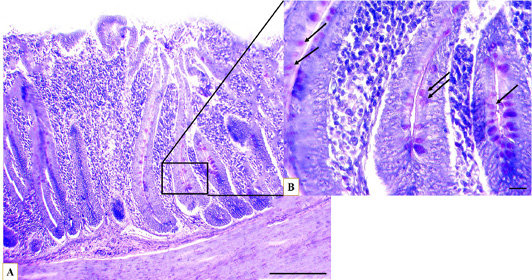 Figure 9: