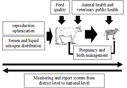 Figure 3: