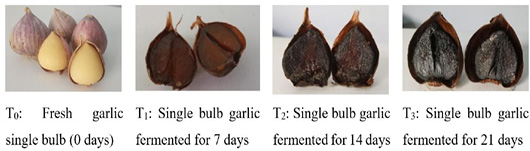 Figure 3: